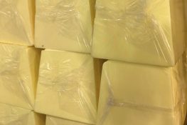 Mút xốp trồng cây