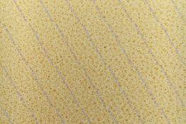 Fast dry foam